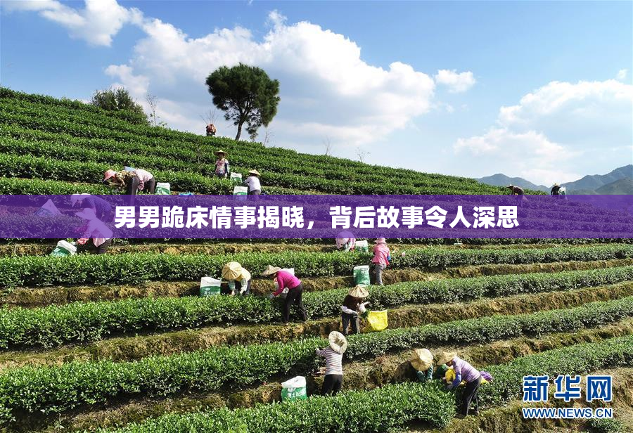 男男跪床情事揭晓，背后故事令人深思