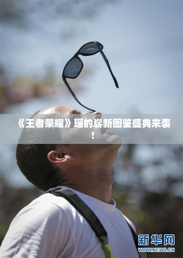 《王者荣耀》瑶的崭新图鉴盛典来袭！