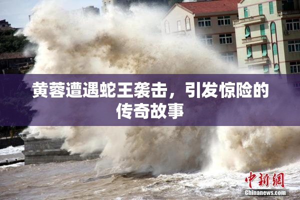 黄蓉遭遇蛇王袭击，引发惊险的传奇故事