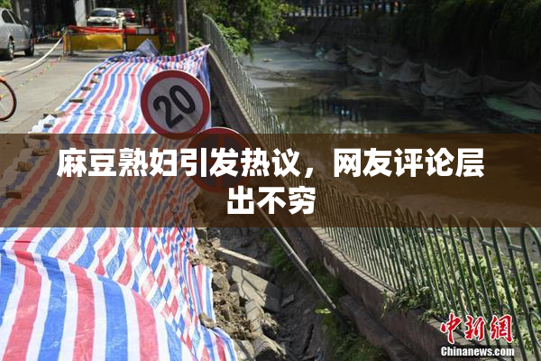 麻豆熟妇引发热议，网友评论层出不穷