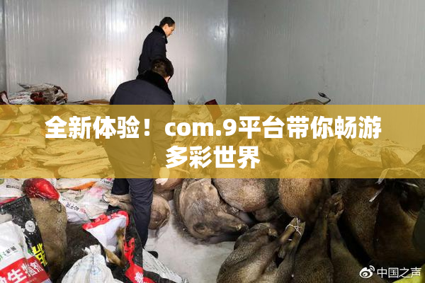 全新体验！com.9平台带你畅游多彩世界