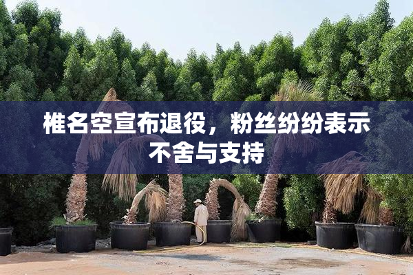 椎名空宣布退役，粉丝纷纷表示不舍与支持