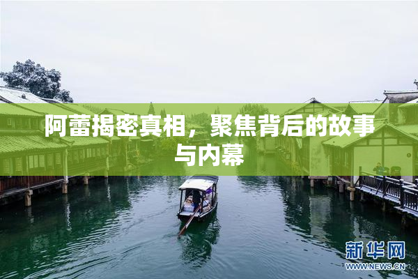 阿蕾揭密真相，聚焦背后的故事与内幕