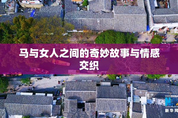 马与女人之间的奇妙故事与情感交织
