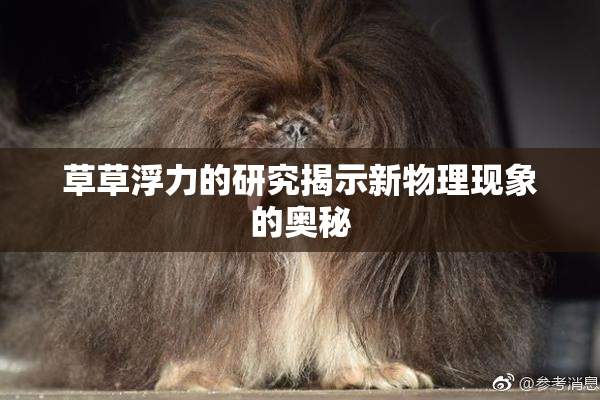 草草浮力的研究揭示新物理现象的奥秘