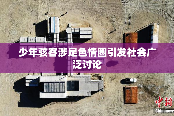 少年骇客涉足色情圈引发社会广泛讨论