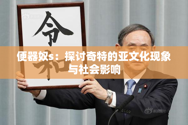 便器奴s：探讨奇特的亚文化现象与社会影响