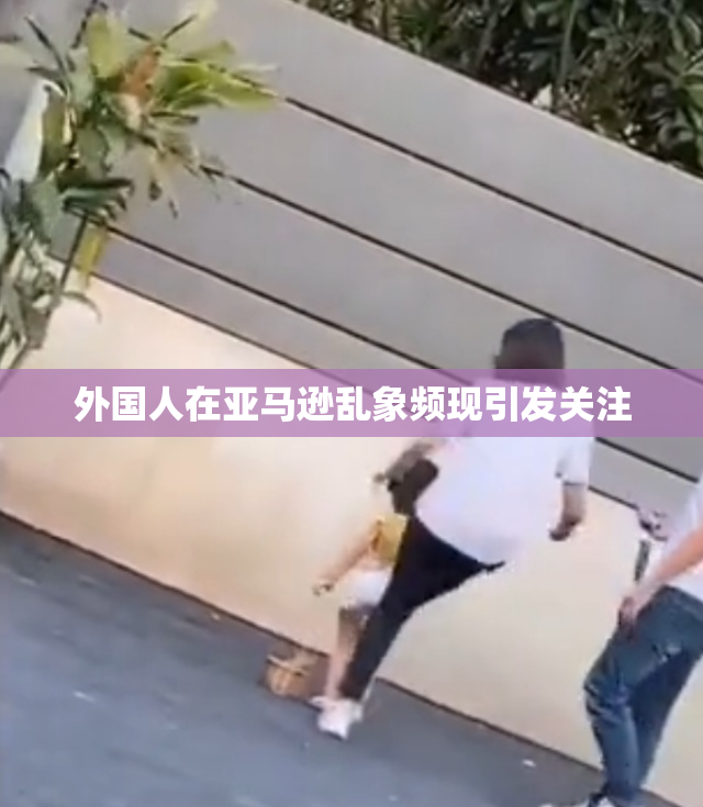 外国人在亚马逊乱象频现引发关注