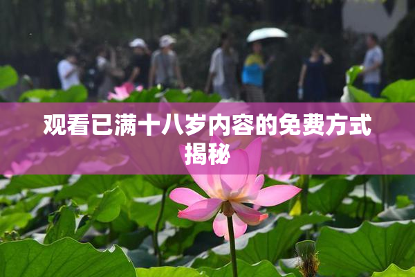观看已满十八岁内容的免费方式揭秘