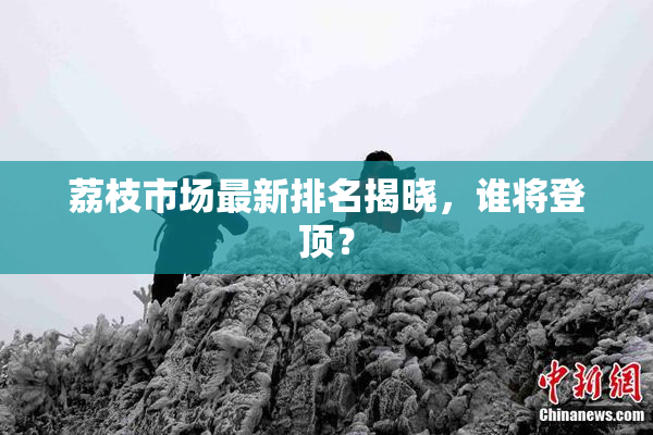 荔枝市场最新排名揭晓，谁将登顶？