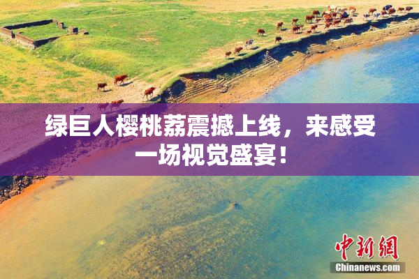 绿巨人樱桃荔震撼上线，来感受一场视觉盛宴！
