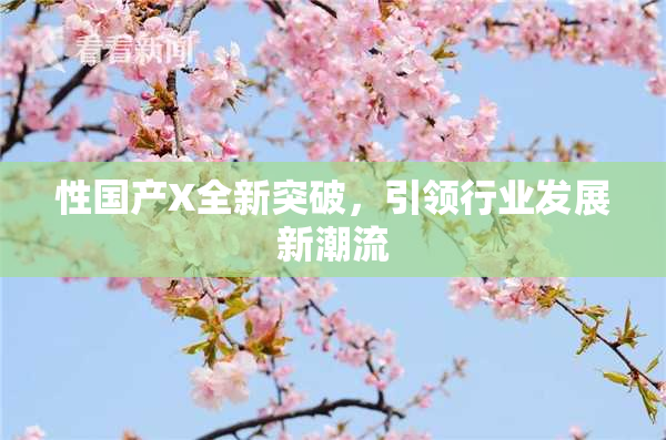 性国产X全新突破，引领行业发展新潮流