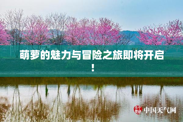 萌萝的魅力与冒险之旅即将开启！
