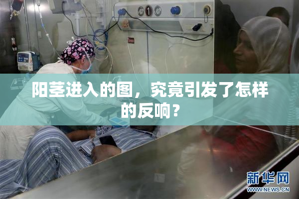 阳茎进入的图，究竟引发了怎样的反响？