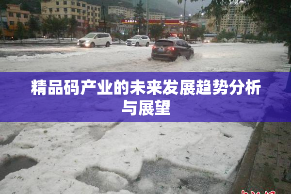 精品码产业的未来发展趋势分析与展望