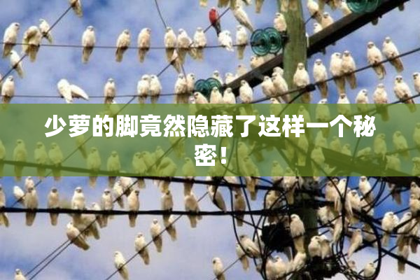 少萝的脚竟然隐藏了这样一个秘密！