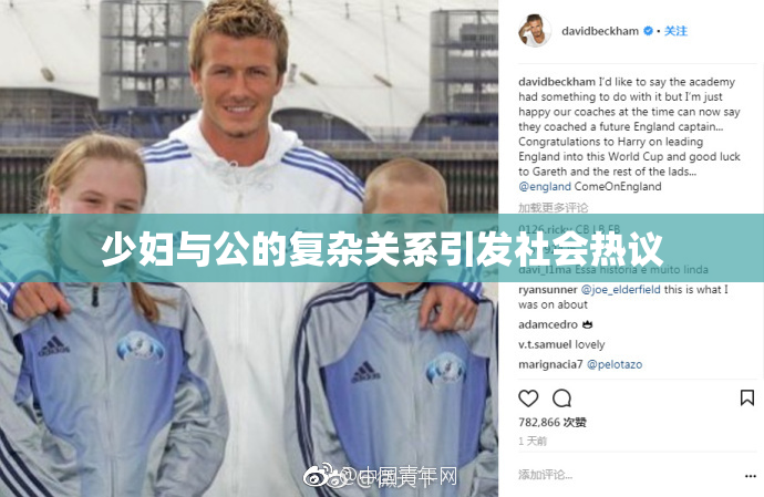 少妇与公的复杂关系引发社会热议