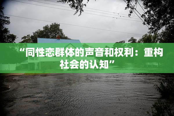 “同性恋群体的声音和权利：重构社会的认知”