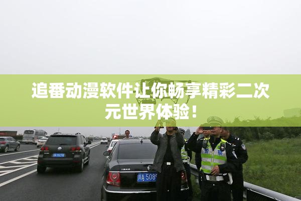 追番动漫软件让你畅享精彩二次元世界体验！
