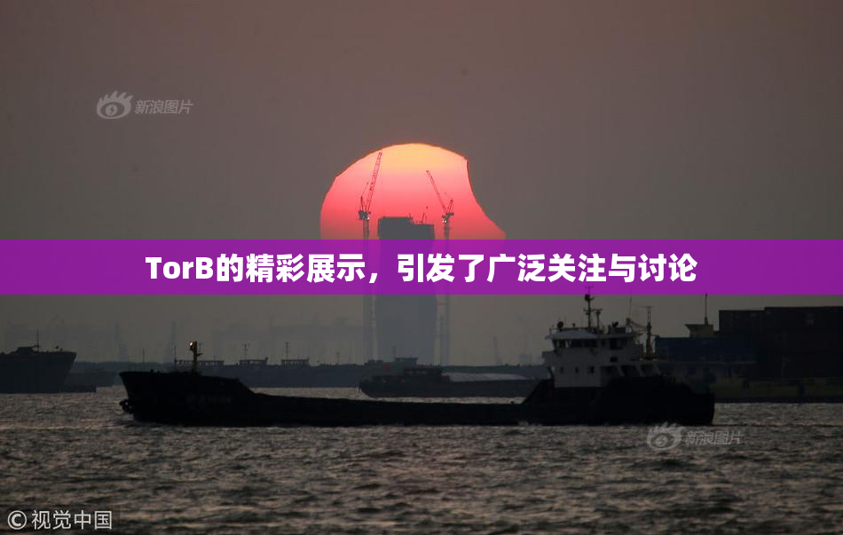 TorB的精彩展示，引发了广泛关注与讨论
