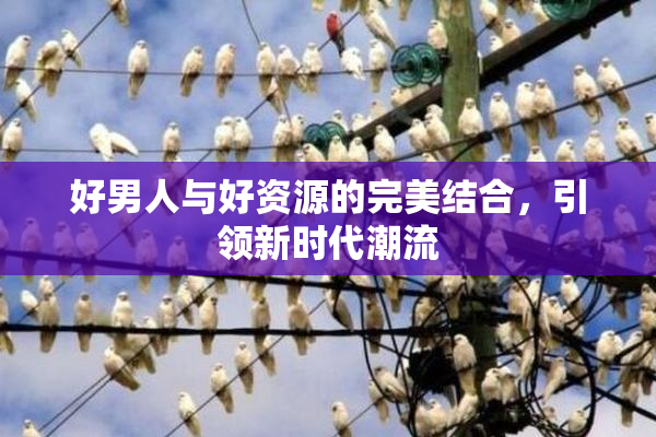 好男人与好资源的完美结合，引领新时代潮流