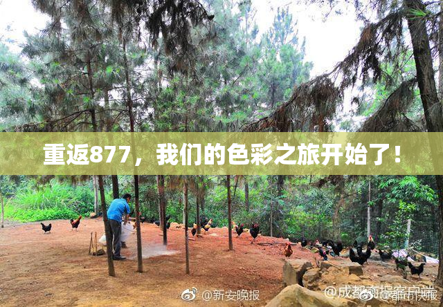 重返877，我们的色彩之旅开始了！