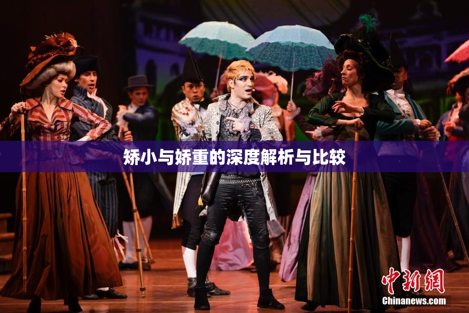 矫小与娇重的深度解析与比较