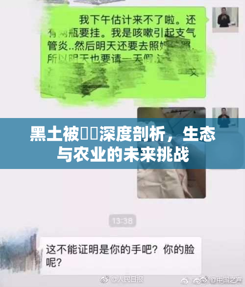 黑土被❌‌深度剖析，生态与农业的未来挑战