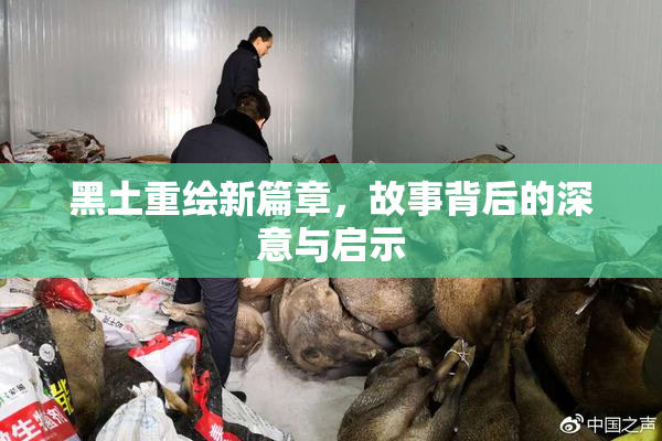 黑土重绘新篇章，故事背后的深意与启示