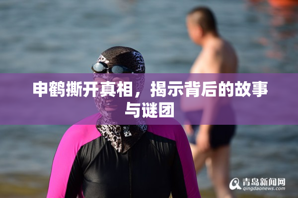 申鹤撕开真相，揭示背后的故事与谜团