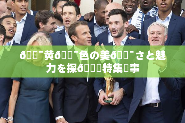 🔯黄🔯色の美🔯さと魅力を探🌃特集記事