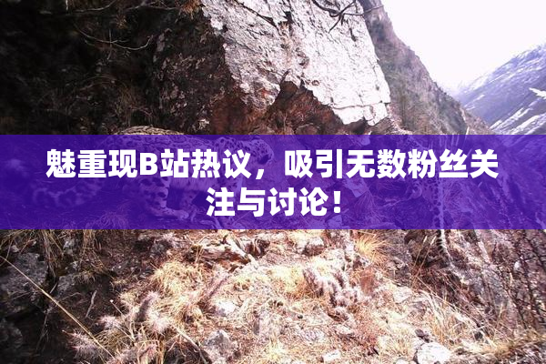 魅重现B站热议，吸引无数粉丝关注与讨论！