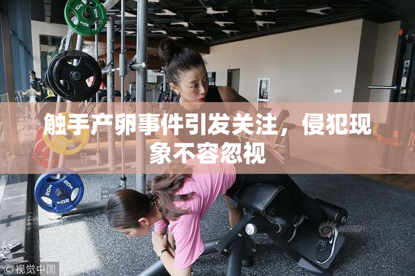 触手产卵事件引发关注，侵犯现象不容忽视
