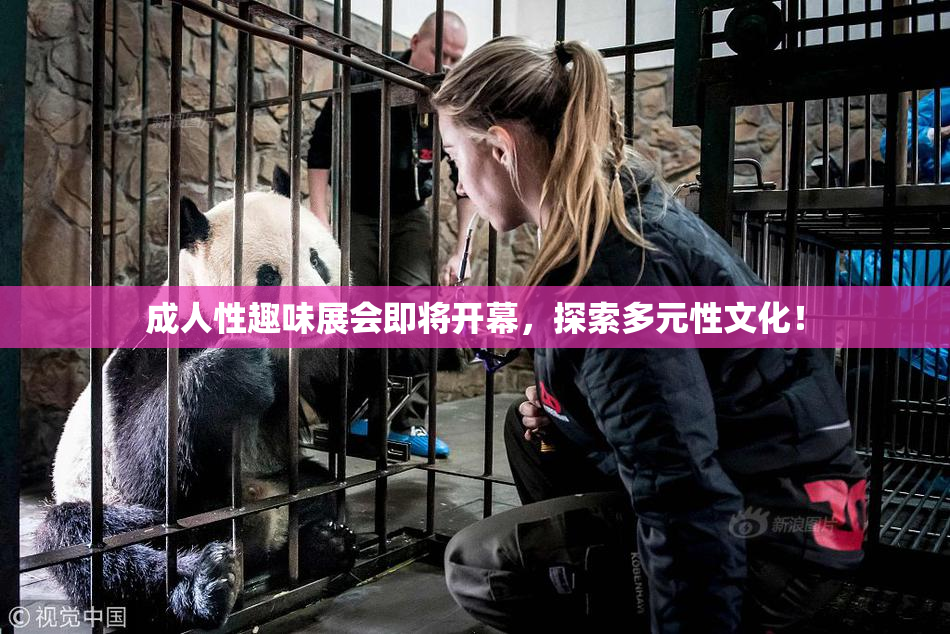 成人性趣味展会即将开幕，探索多元性文化！