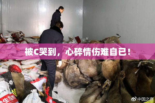 被C哭到，心碎情伤难自已！