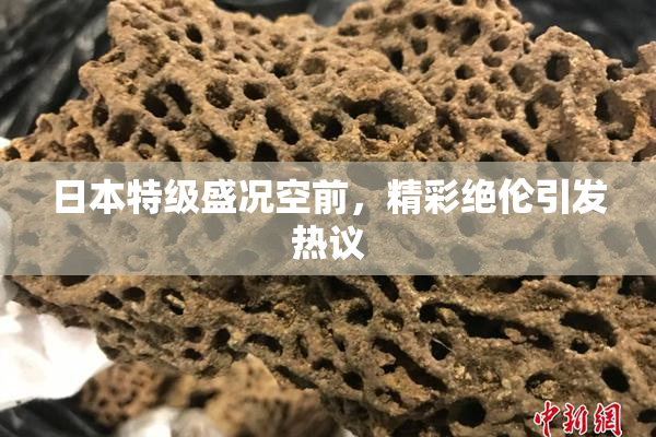 日本特级盛况空前，精彩绝伦引发热议