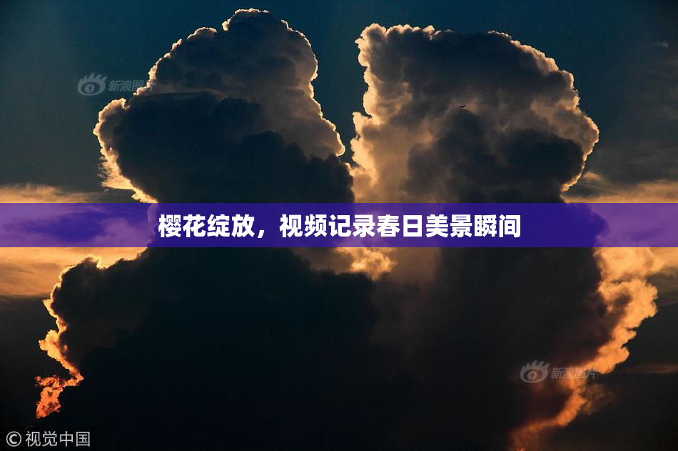 樱花绽放，视频记录春日美景瞬间