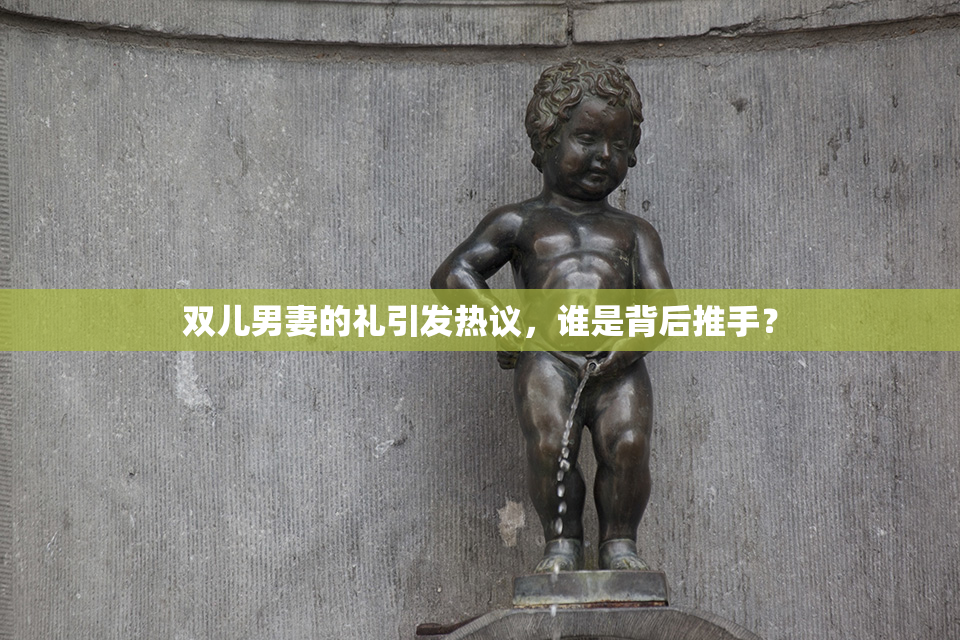 双儿男妻的礼引发热议，谁是背后推手？