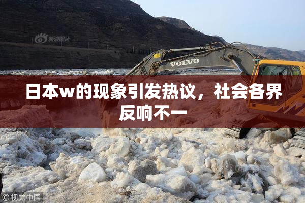 日本w的现象引发热议，社会各界反响不一