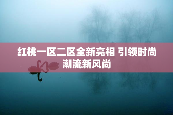 红桃一区二区全新亮相 引领时尚潮流新风尚
