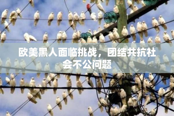 欧美黑人面临挑战，团结共抗社会不公问题