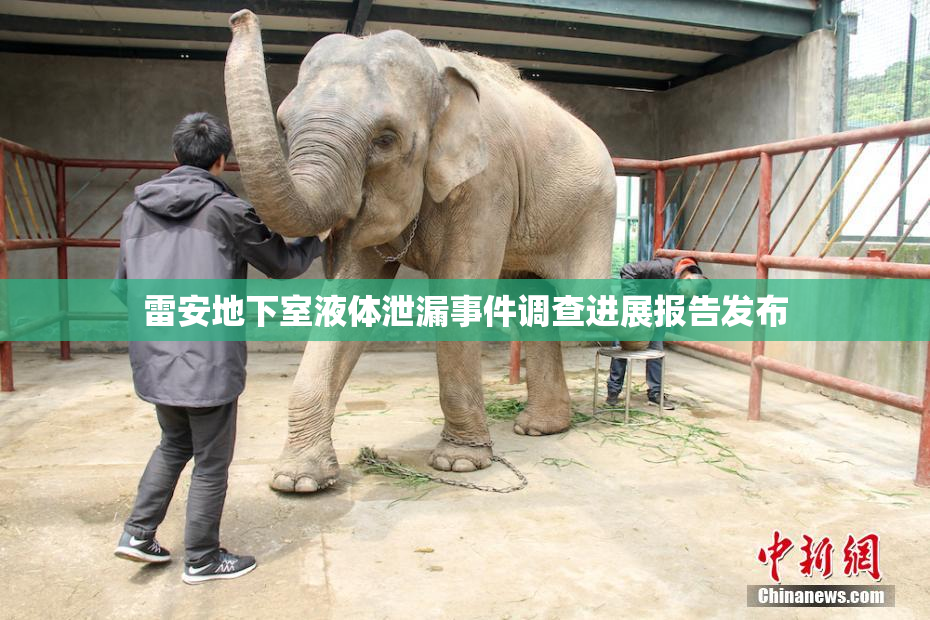 雷安地下室液体泄漏事件调查进展报告发布