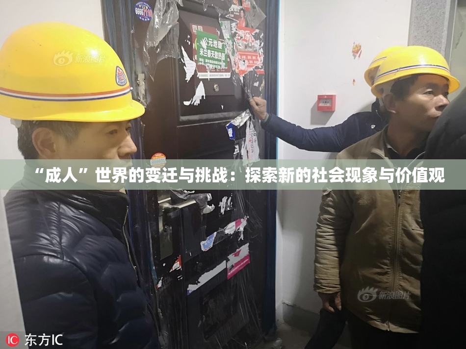 “成人”世界的变迁与挑战：探索新的社会现象与价值观