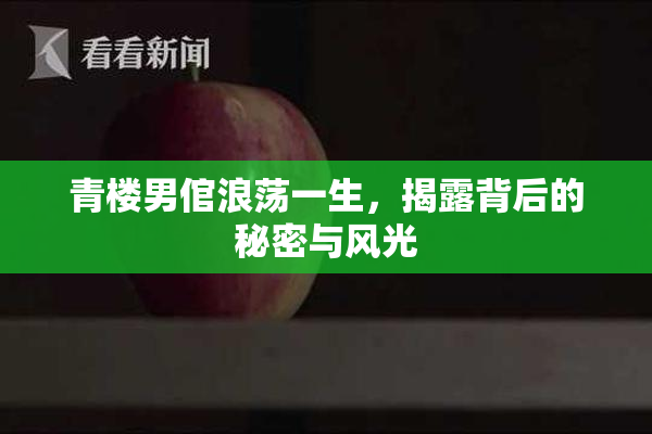 青楼男倌浪荡一生，揭露背后的秘密与风光