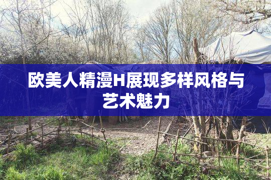 欧美人精漫H展现多样风格与艺术魅力