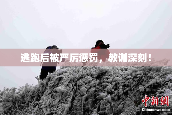 逃跑后被严厉惩罚，教训深刻！