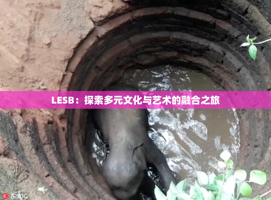 LESB：探索多元文化与艺术的融合之旅