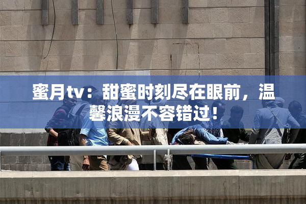 蜜月tv：甜蜜时刻尽在眼前，温馨浪漫不容错过！