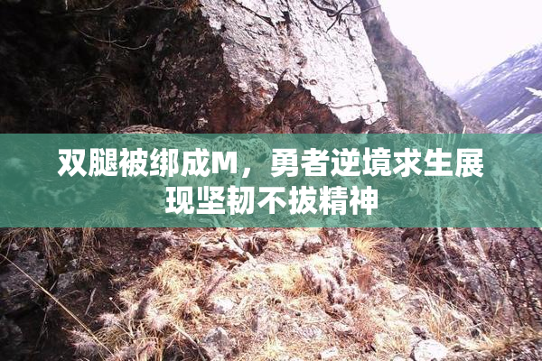 双腿被绑成M，勇者逆境求生展现坚韧不拔精神