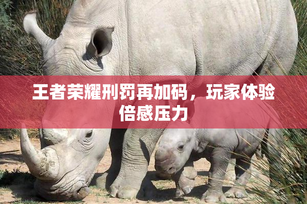 王者荣耀刑罚再加码，玩家体验倍感压力